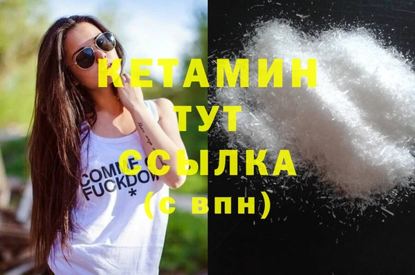 крисы Алексин